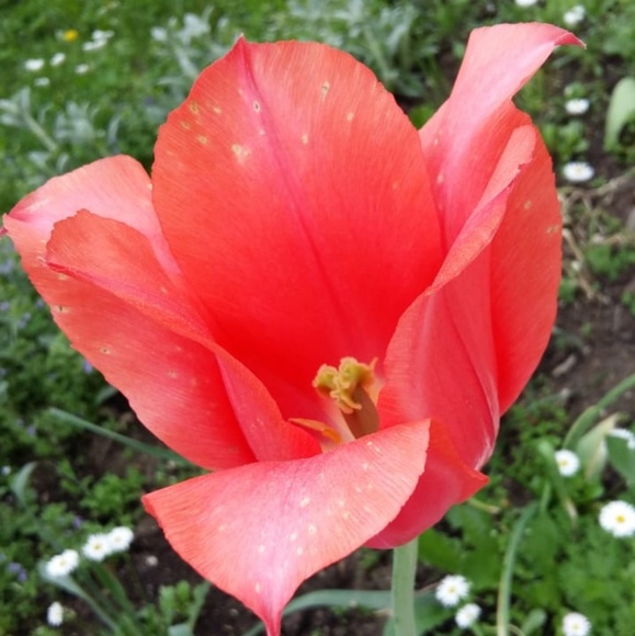 Meet your Posher, Liubov - Picture 5 of 8